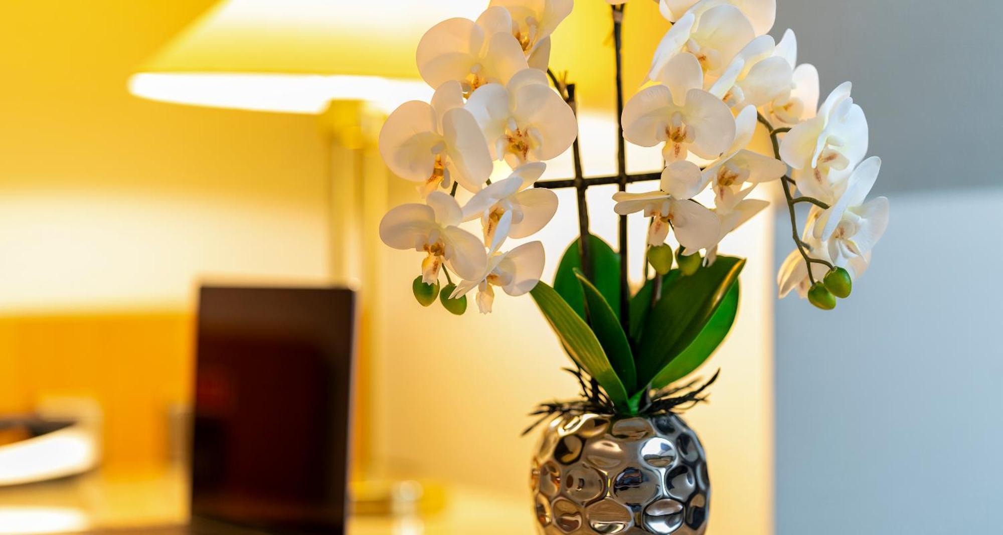 Plaza Inn Blankenburg Ditzingen, Sure Hotel Collection 外观 照片
