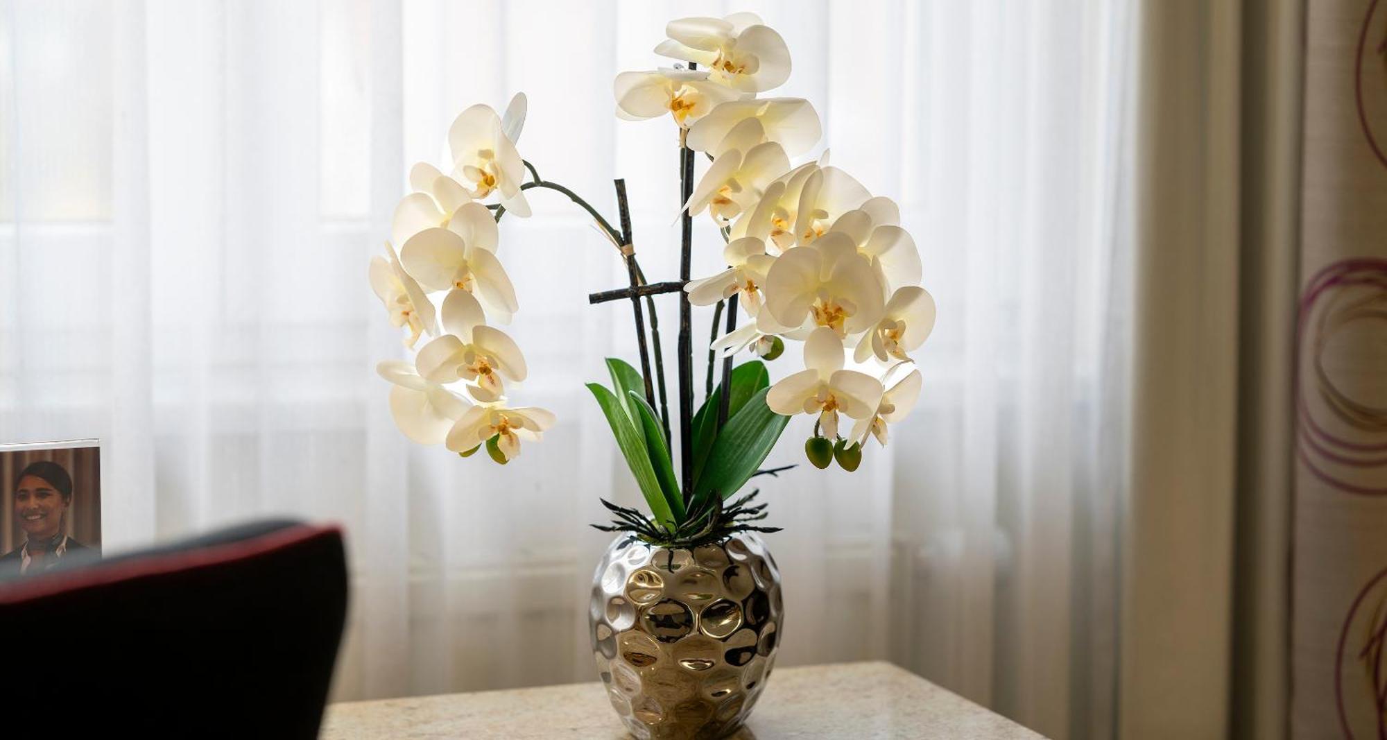 Plaza Inn Blankenburg Ditzingen, Sure Hotel Collection 外观 照片